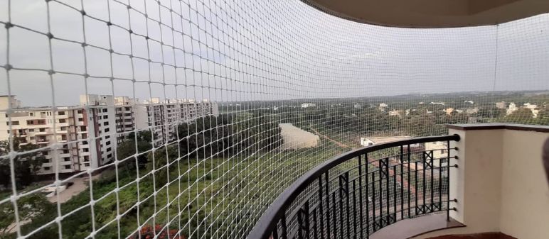 Bird Proofing Services